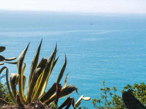 Holiday Home Mediterr�neo