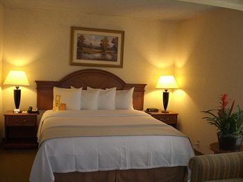 Hotel Holiday Inn Chico
