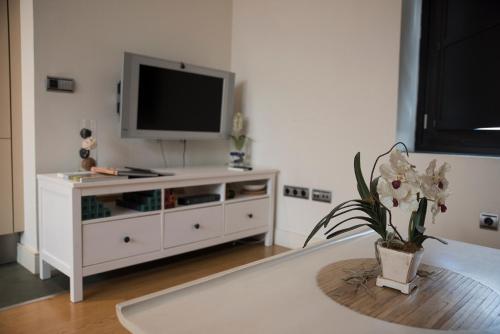 Apartamento Luxury Loft Seville