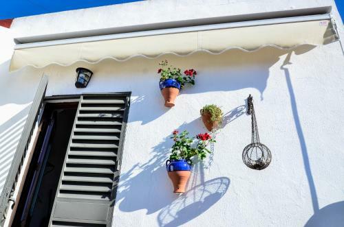 Apartamento Alohamundi Campana