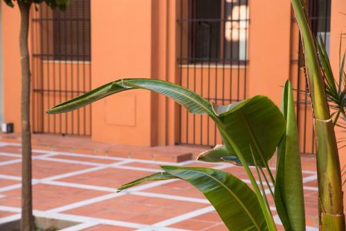 Apartamento Alohamundi Quevedo