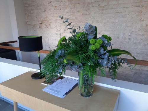 Avenida 15 Apartments