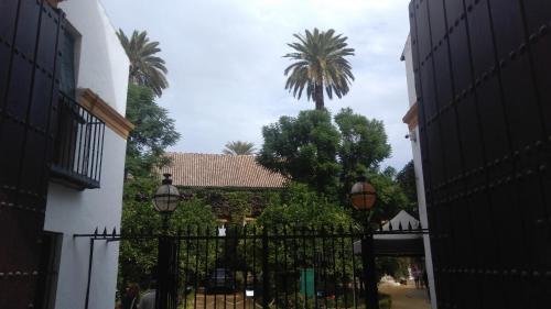 Apartamento Sevilla Arte Y Vida