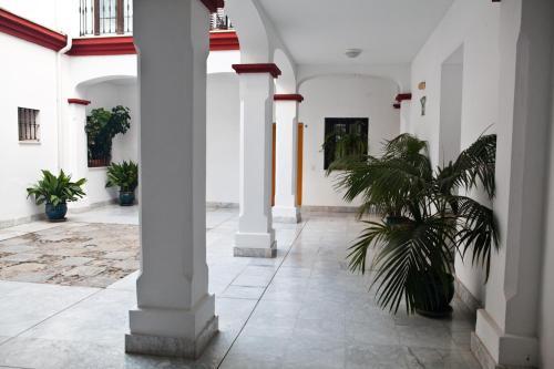 Quiet & Modern Apartment In Typical Sevilla House