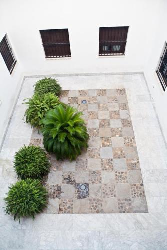 Quiet & Modern Apartment In Typical Sevilla House