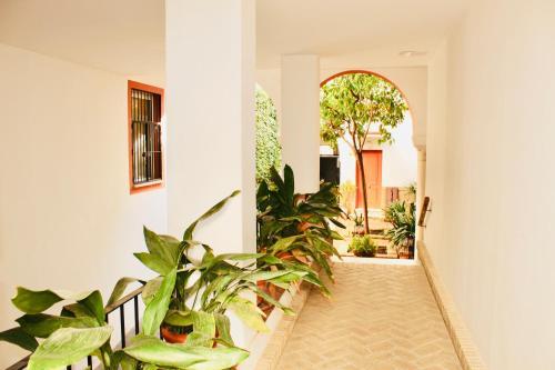 Apartamento Hiniesta Luxury Property