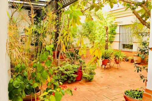 Apartamento Hiniesta Luxury Property