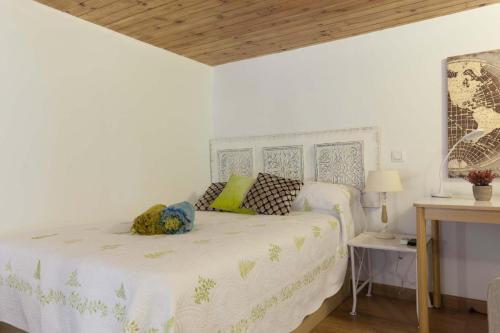 Apartamento Loft / Duplex With Charming Historic Center. Wifi