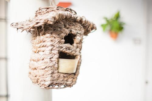 Apartamento Alohamundi Alfalfa