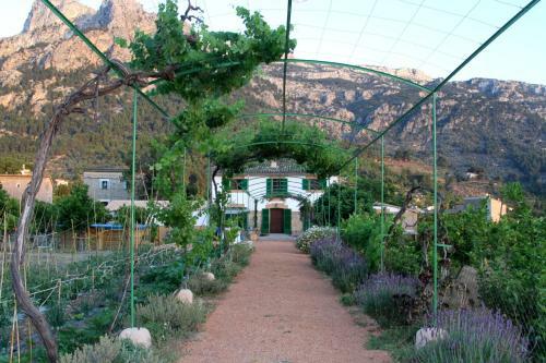 Can Sivella Groc - Holiday Home In Soller