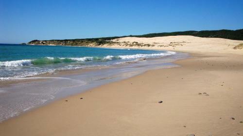 Kampaoh Paloma (tarifa)