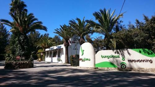 Kampaoh Paloma (tarifa)