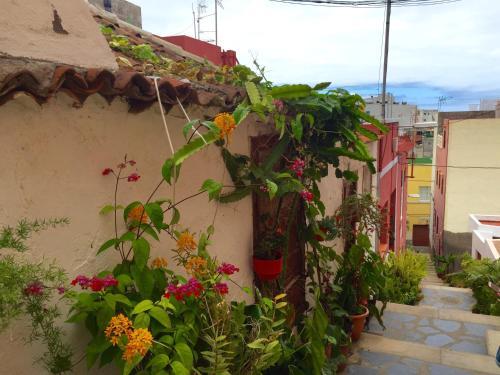 Apartamento Tazacorte Tipical House