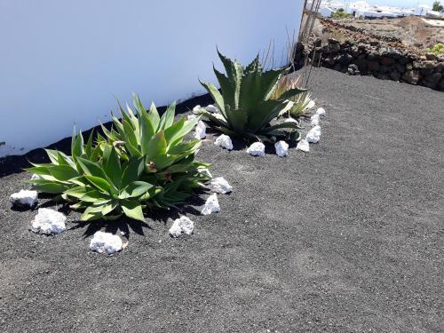 Agroturismo Loft La Tahonilla