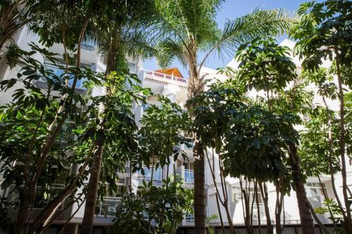 Apartamento Holidays2 La Carihuela