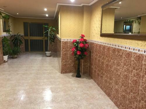 Apartamento- F�lix De Fuente