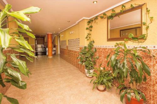 Apartamento- F�lix De Fuente