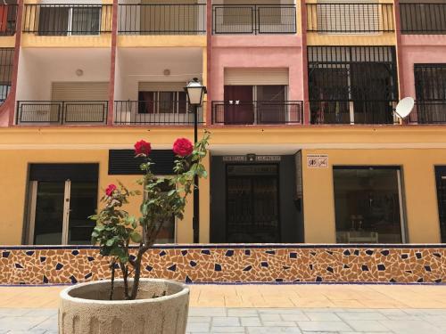 Apartamento Economy Studio Calle La Loma 107
