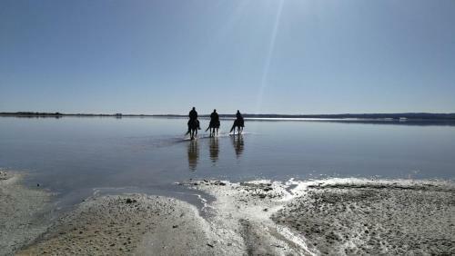 Apartamento Sweet Home Bellavista