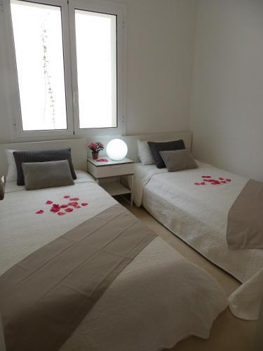 Danlux Moli 12