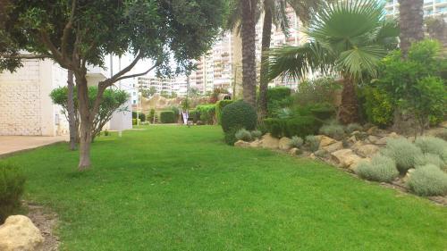 Apartamento A551 - Atrium Beach 3 - 2004 Finestrat S.l.