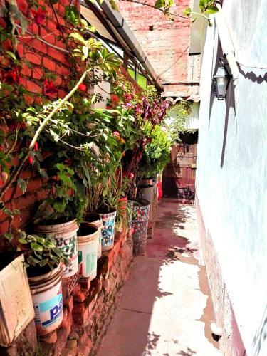 Hostal Cusco Central Hostel