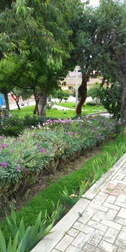 Terrazas Inn Aparts