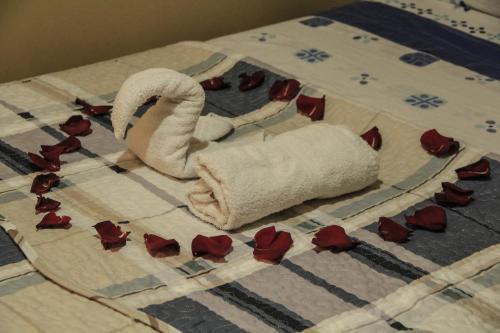 Hostal Spring