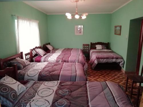Bed & Breakfast Tere�s House