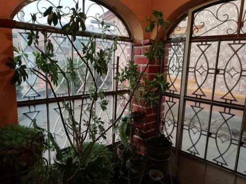 Bed & Breakfast Tere�s House