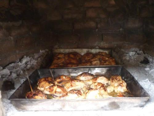Rio Viejo Ecolodge & Camping