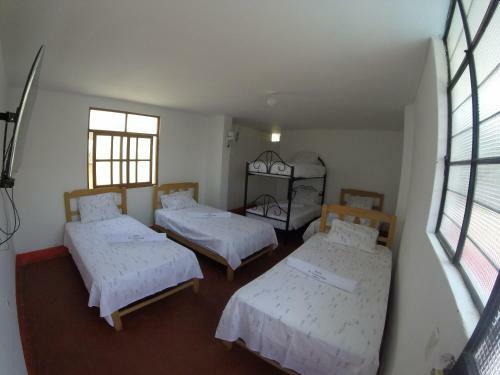 Albergue Mr. Llama Lodge