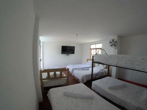Albergue Mr. Llama Lodge