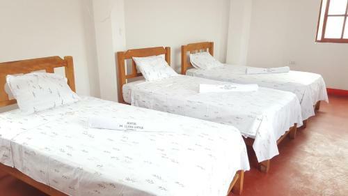 Albergue Mr. Llama Lodge