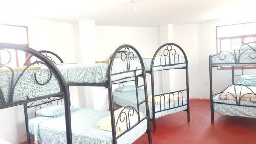 Albergue Mr. Llama Lodge