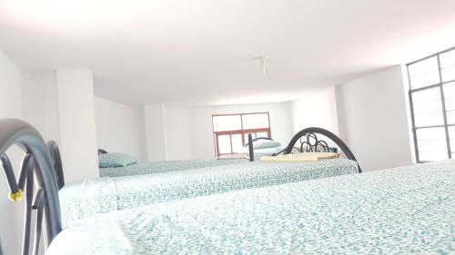 Albergue Mr. Llama Lodge