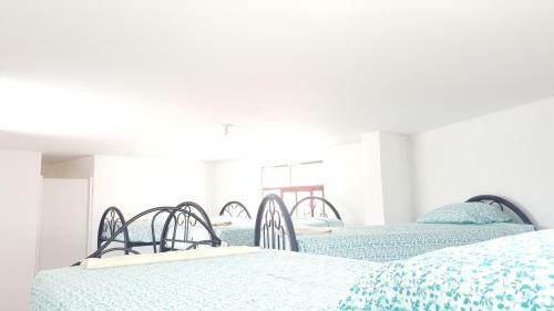 Albergue Mr. Llama Lodge