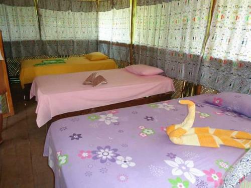 Albergue Wimba Jungle Lodge
