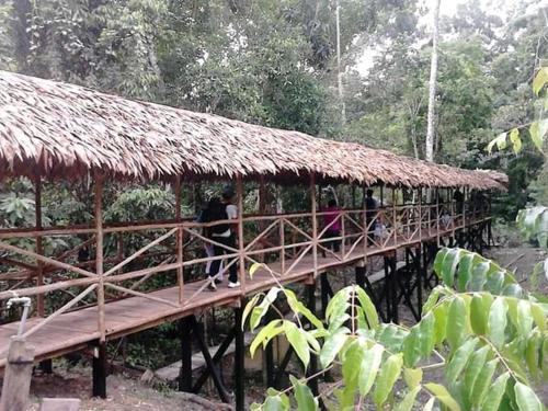 Albergue Wimba Jungle Lodge