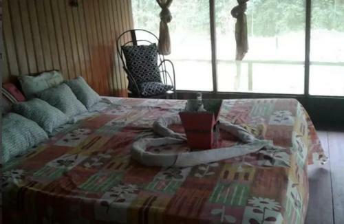 Albergue Wimba Jungle Lodge