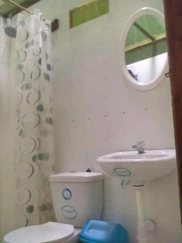 Albergue Wimba Jungle Lodge