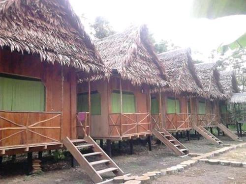 Albergue Wimba Jungle Lodge