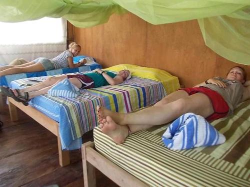Albergue Wimba Jungle Lodge
