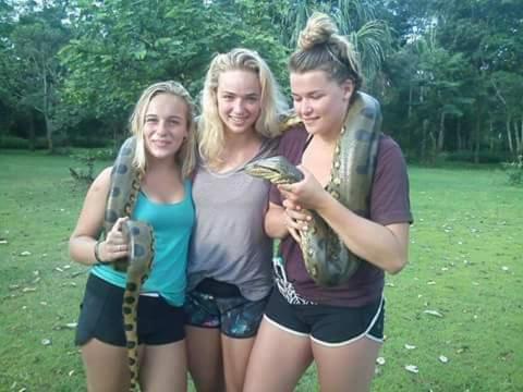 Albergue Wimba Jungle Lodge