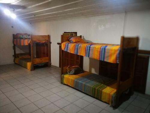 Lodge Friends Of The Amazon Jungle
