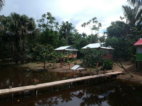 Lodge Friends Of The Amazon Jungle