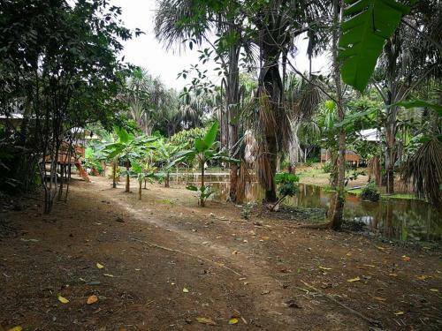 Lodge Friends Of The Amazon Jungle