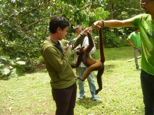 Jibaro Tours & Expeditions - Lodge