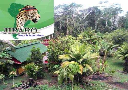 Jibaro Tours & Expeditions - Lodge