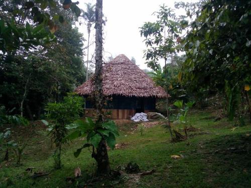 Lodge King Of Compassion Resorts